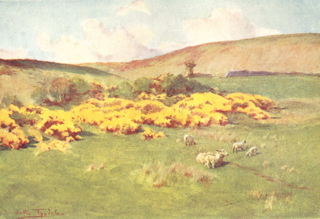 LANDSCAPES. Summer in Wessex 1906 old antique vintage print picture